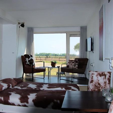 Tiny Cottage 2 Drijber المظهر الخارجي الصورة